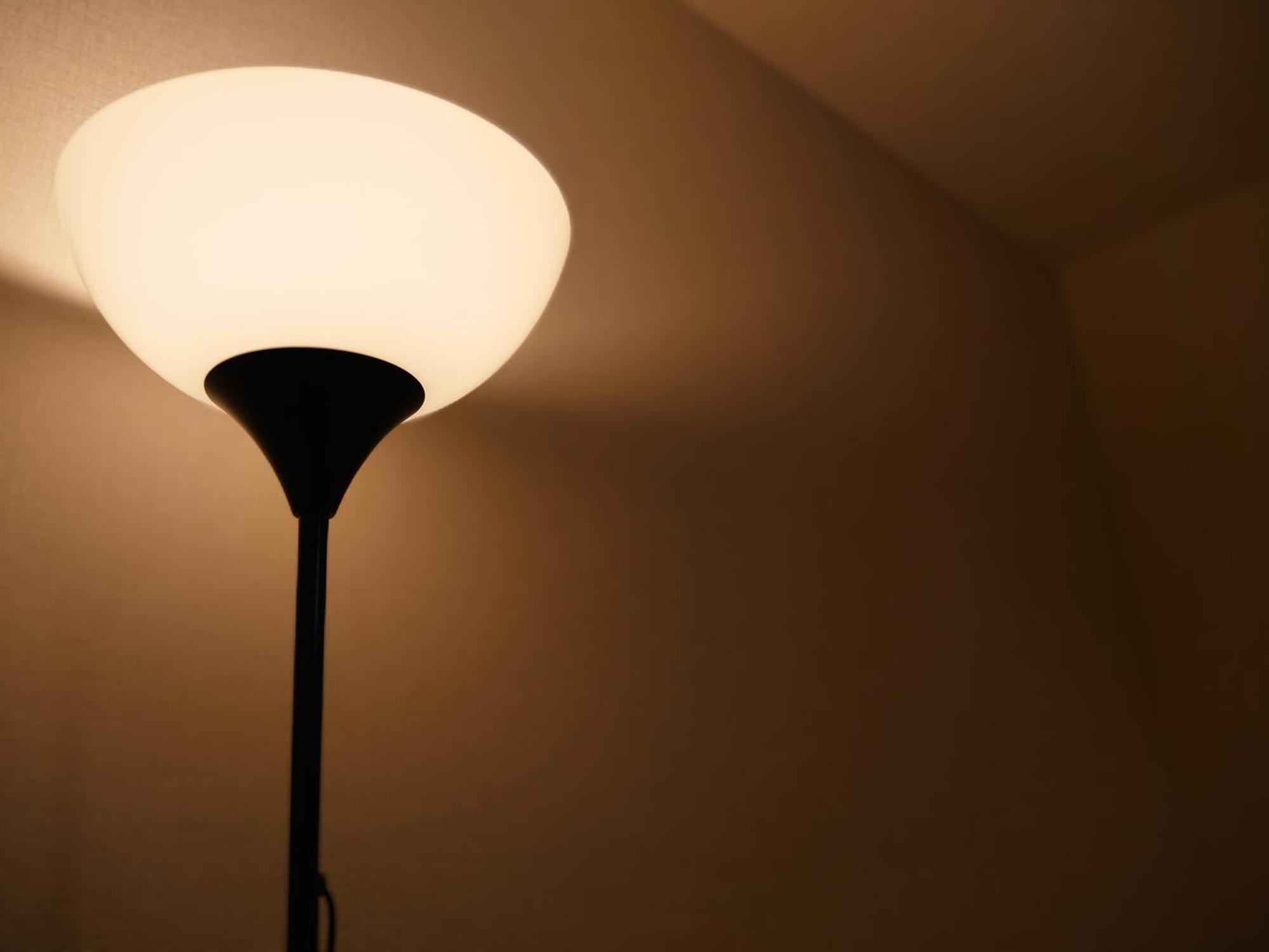 Apartament Amber Iidabashi Tokio Pokój zdjęcie